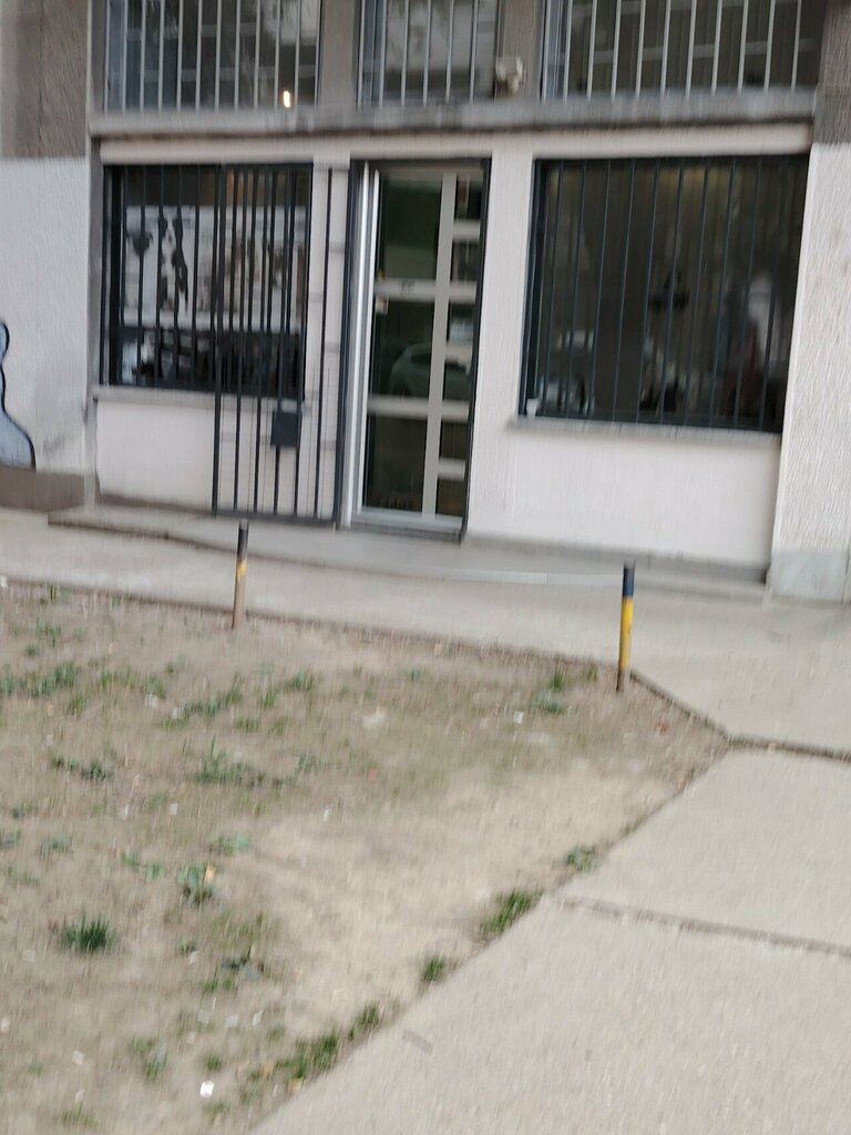 Pet salon Dog art, Belgrade, photo