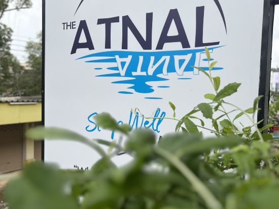 Фото 225811273666