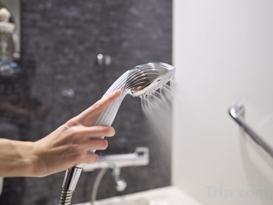 Фото Hotel Resol Kyoto Shijo Muromachi