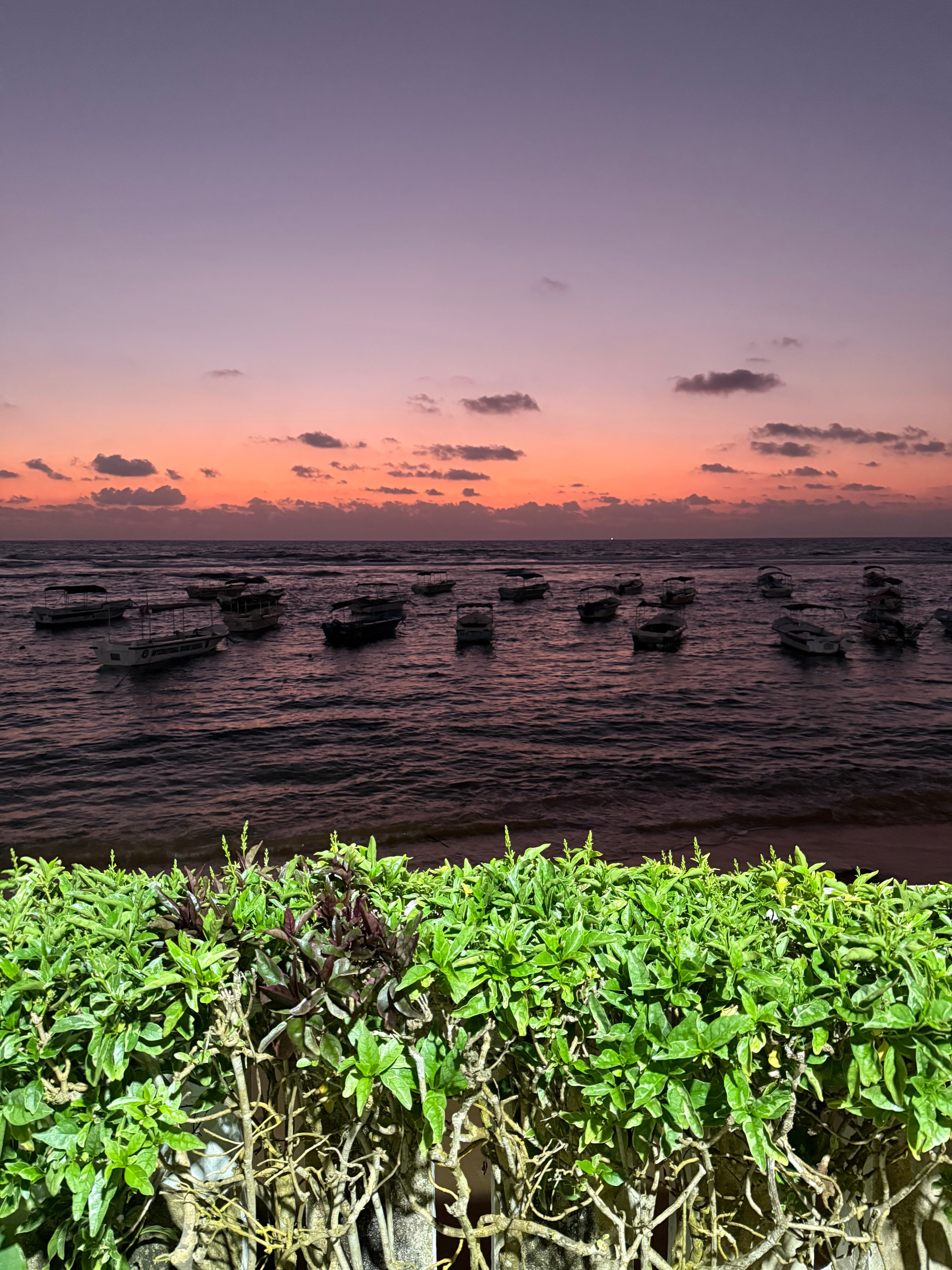 Фото Coral Sands Hotel
