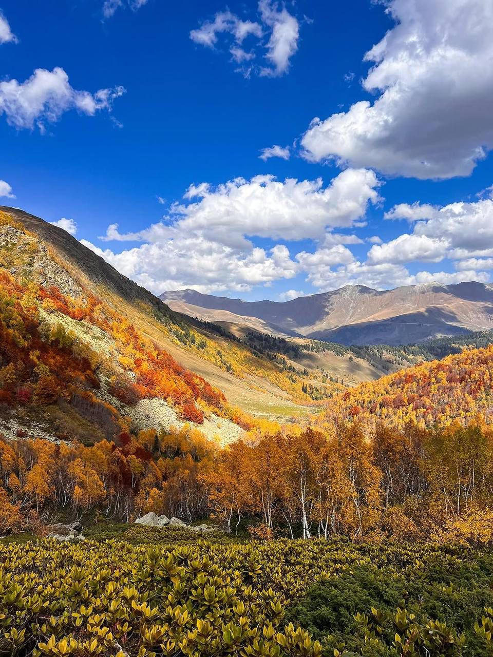 Фото Уютный Архыз