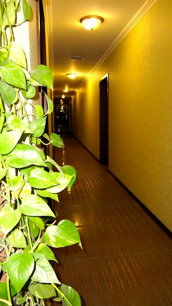 Фото Гостиничный комплекс Park Avenue