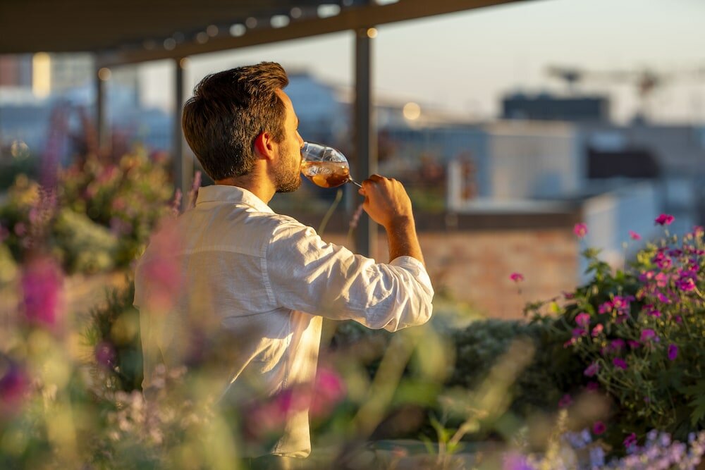 Фото Tortue Hamburg
