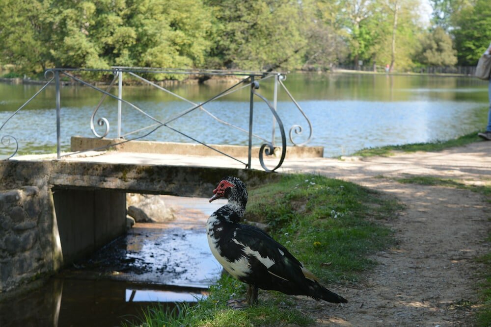 Фото Podere delle Fanciulle