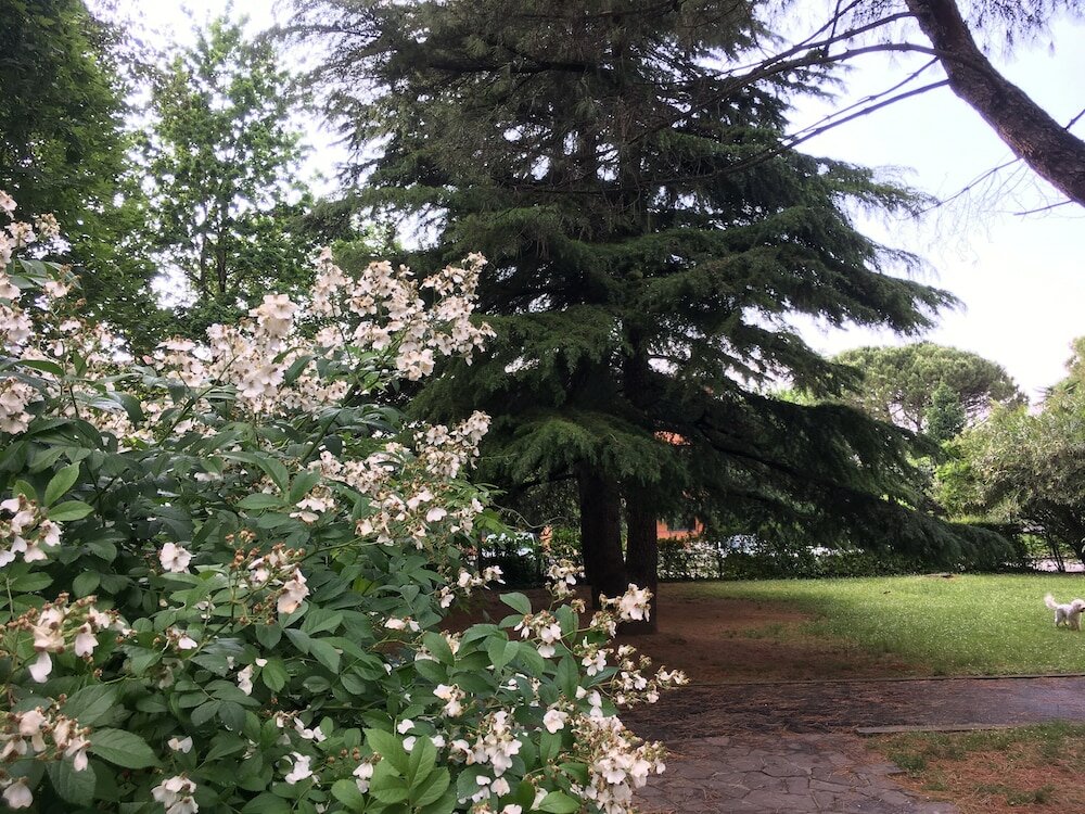 Фото Bed and Breakfast Bio Salix