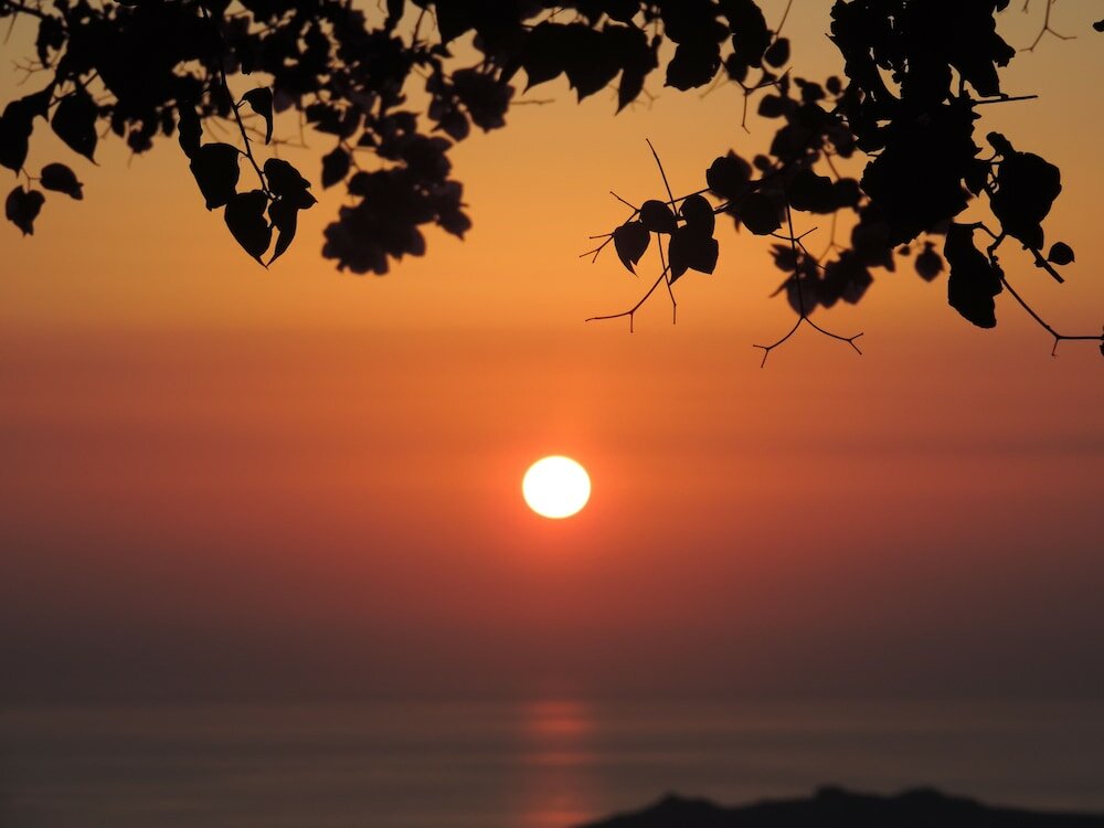 Фото Nautilus Dome