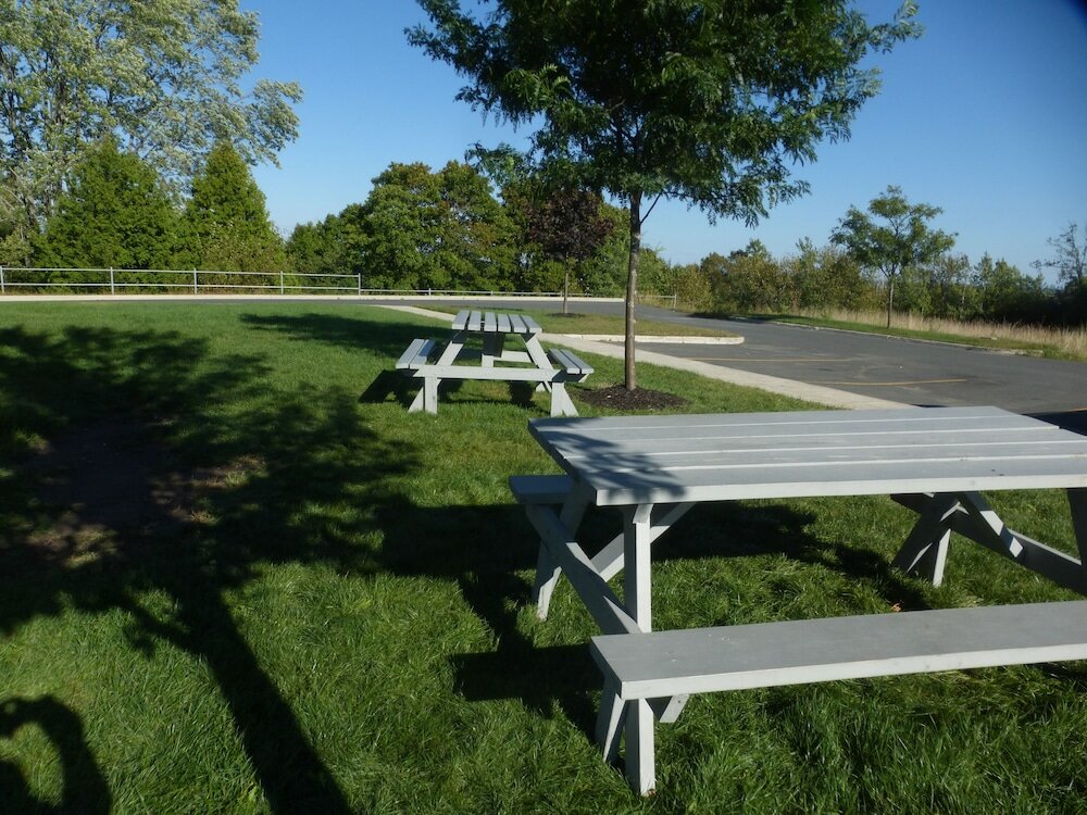 Фото Super 8 by Wyndham Peterborough