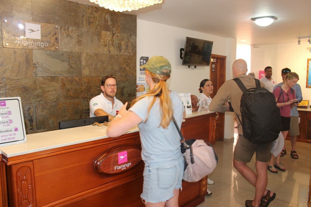 Фото Hotel Flamingo