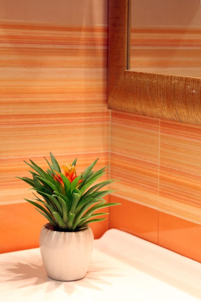 Фото Serena Hotel