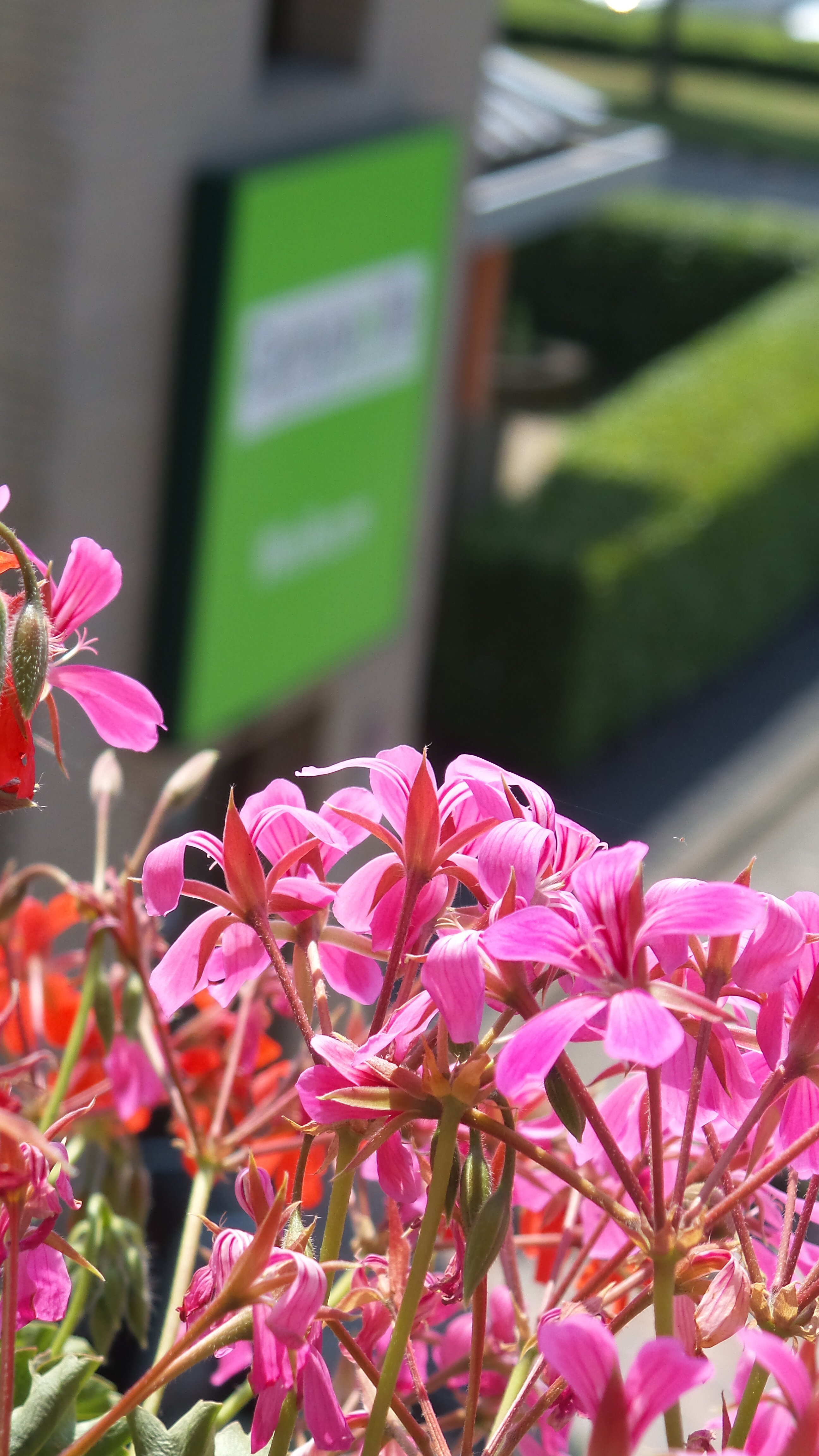 Фото Campanile Hotel Zevenaar - Arnhem