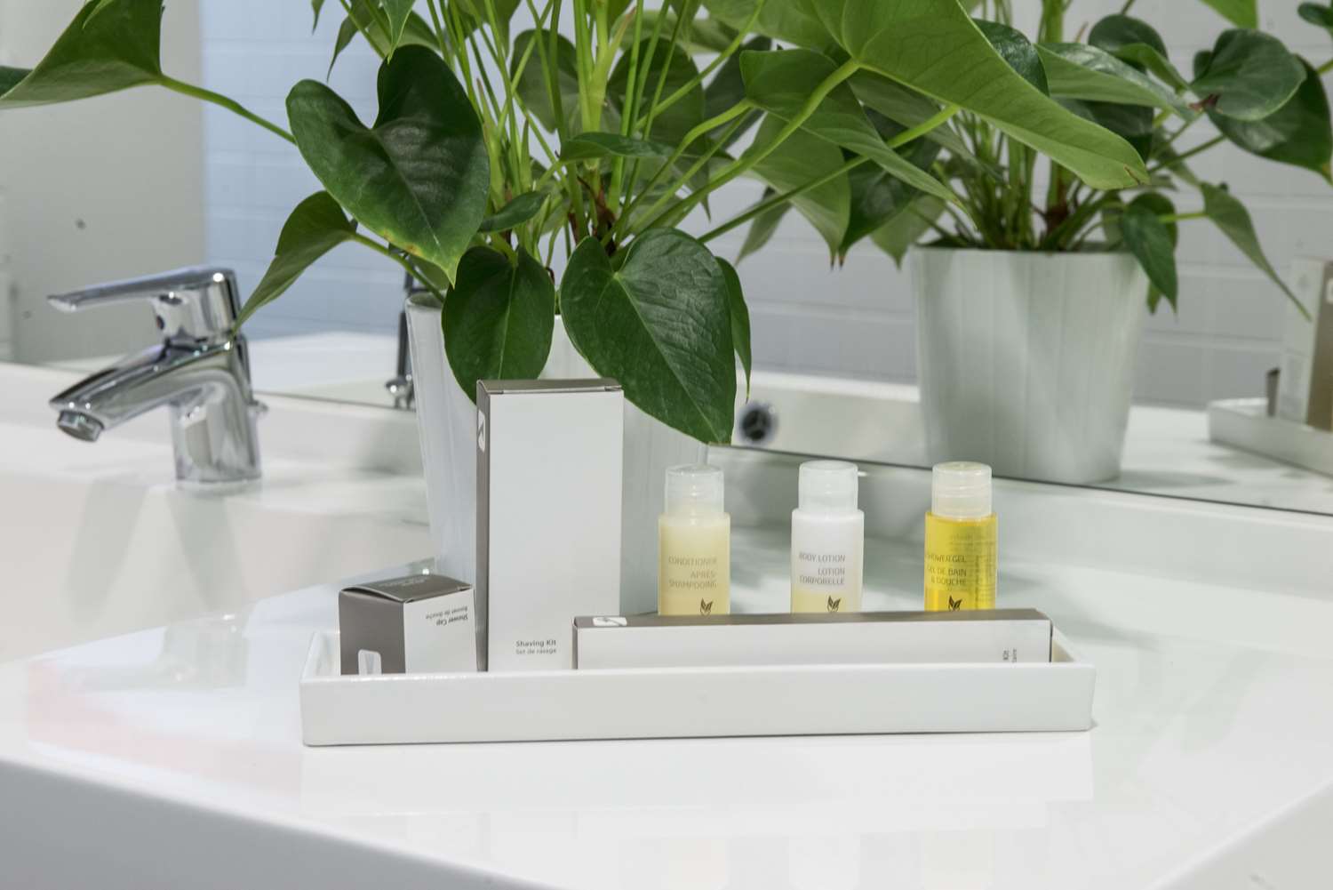 Фото Best Western Plus Amedia Wien