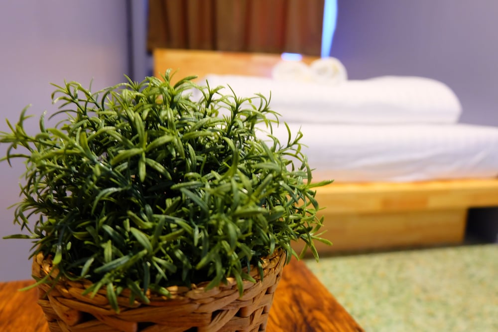 Фото Arun Old Town Hostel