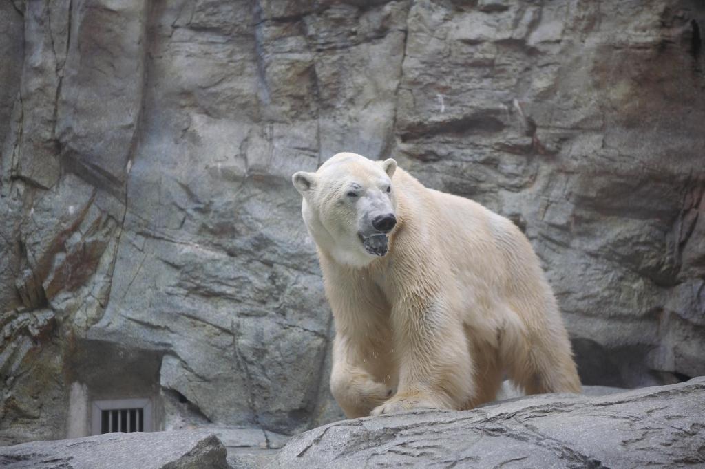 Фото Oga Seiko Grand Hotel