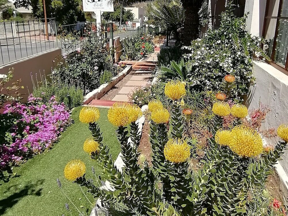 Фото Squirrels Corner