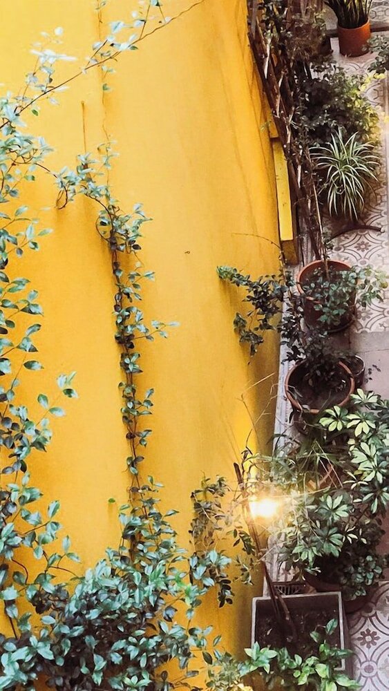 Фото L'Adresse Hotel Boutique