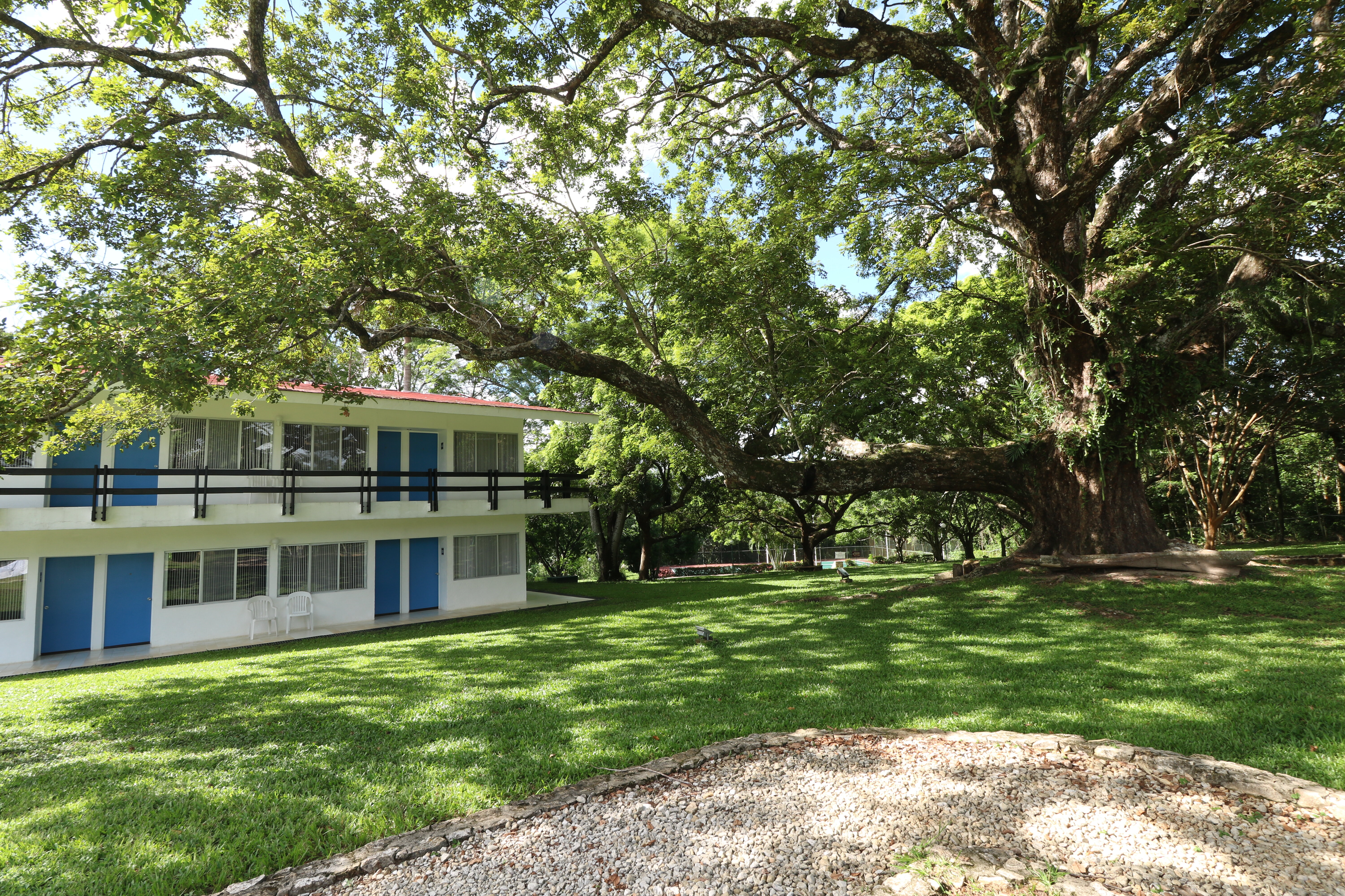 Фото Hotel Misión Palenque