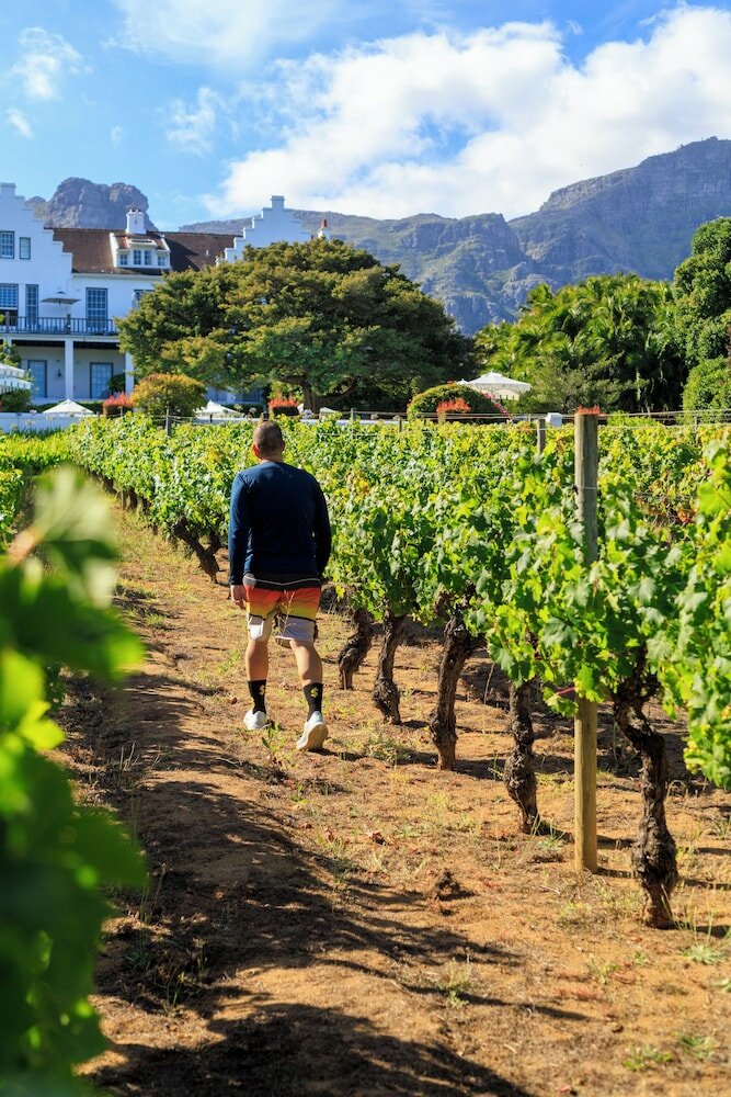 Фото The Cellars Hohenort