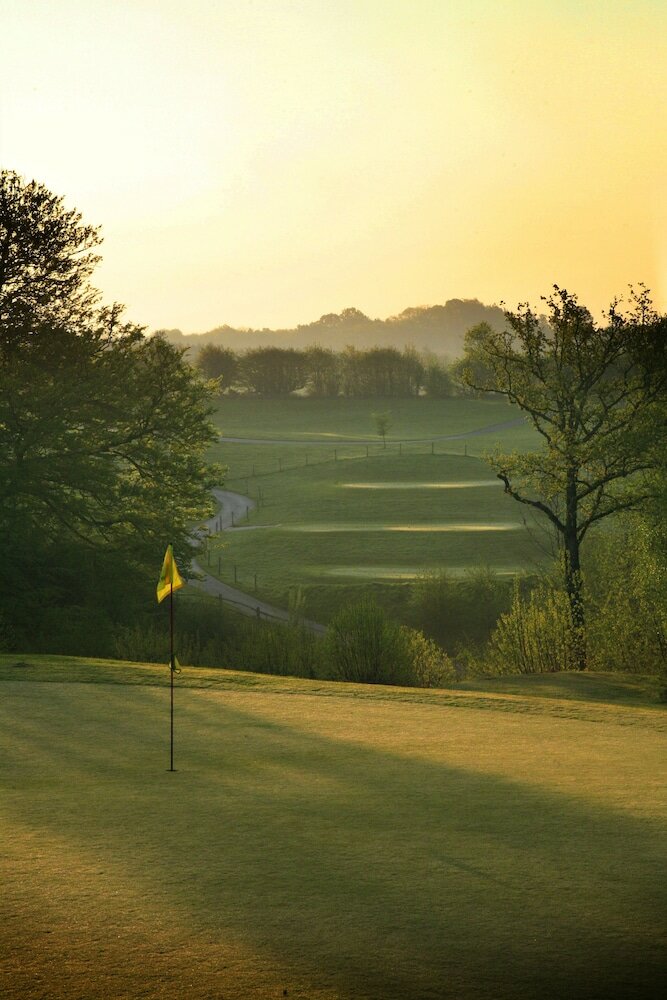 Фото Dale Hill Hotel & Golf Club