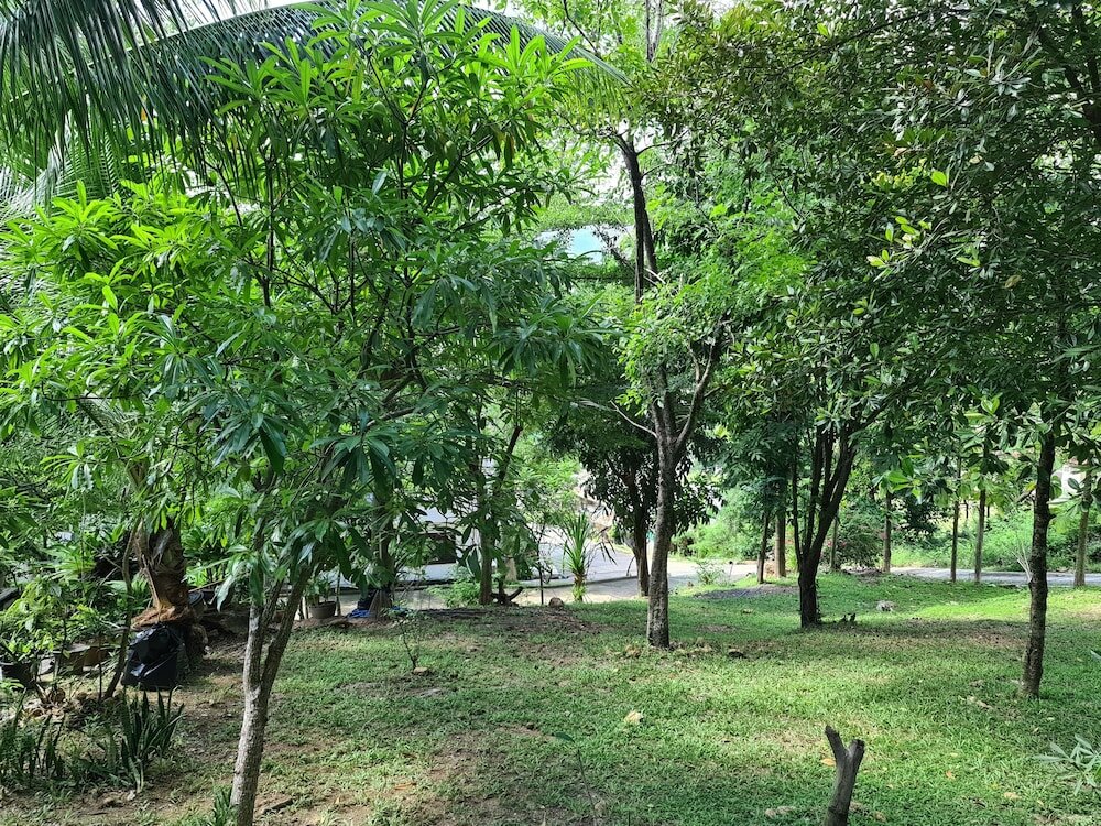 Фото Chaweng Park Place