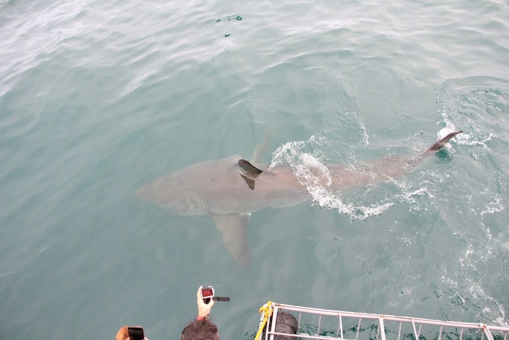 Фото The Potting Shed Guest House
