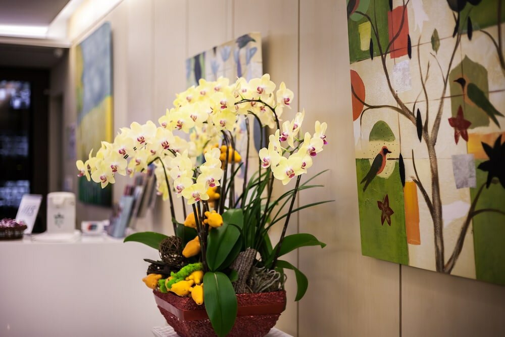 Фото Green World Linsen