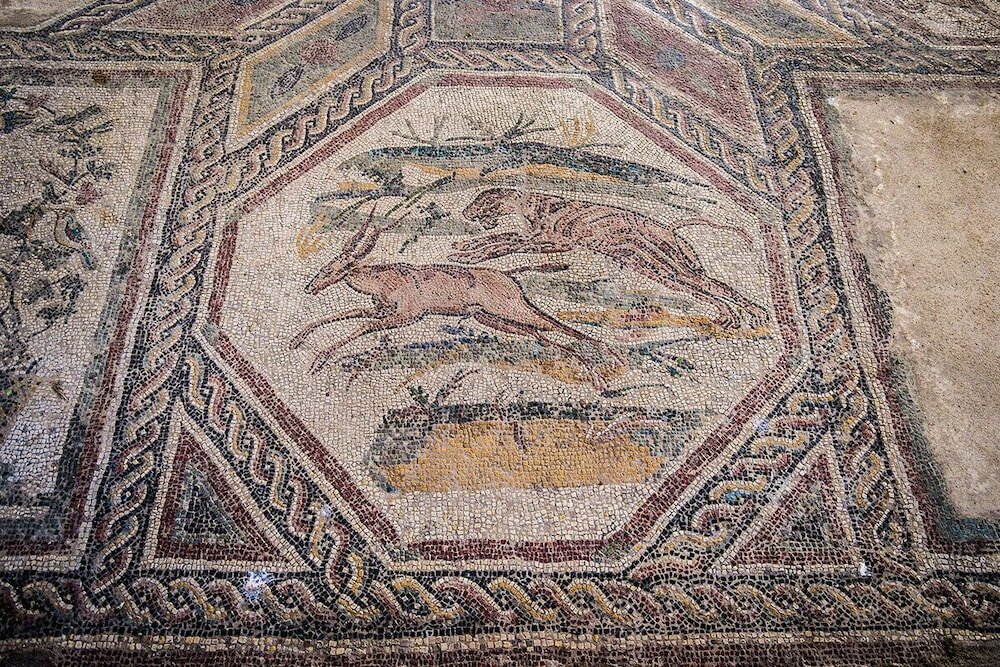 Фото Residence San Rocco