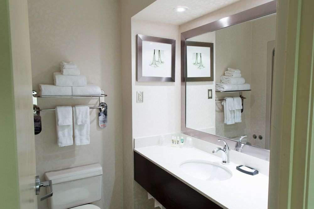 Фото Holiday Inn & Suites Windsor Ambassador Bridge, an Ihg Hotel