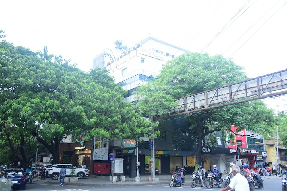 Фото Pine Tree Signature