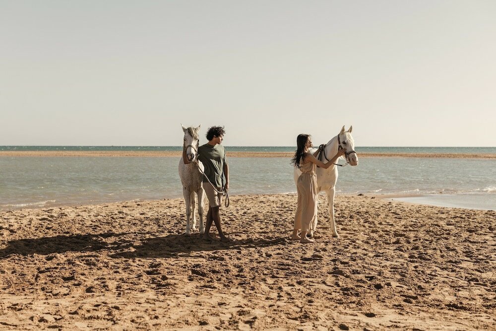 Фото Casa Cook El Gouna - Adults Only