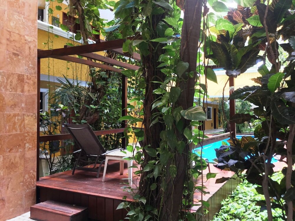 Фото Hotel Las Golondrinas