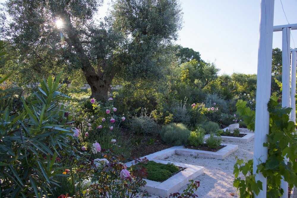 Фото Tenuta del Lauro