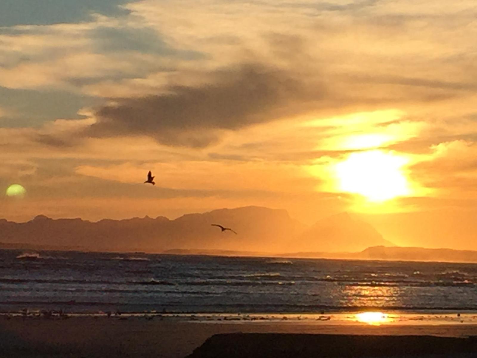 Фото Ocean Breeze Hotel