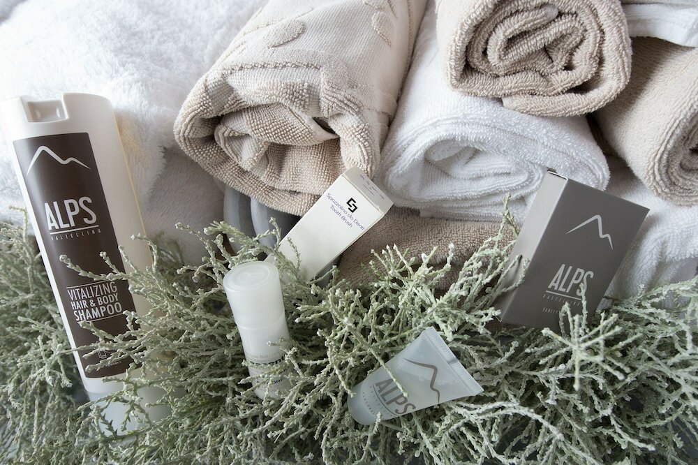 Фото Hotel Vedig