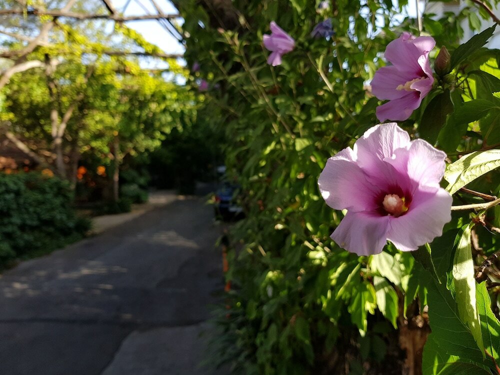 Фото Villaggio Verde