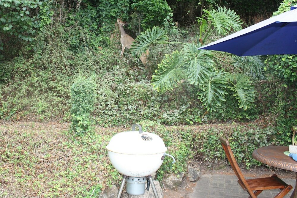 Фото Cloverleigh Guest House