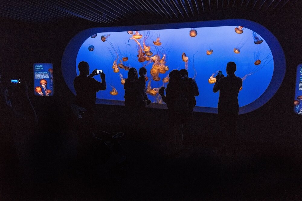 Фото The Monterey Hotel