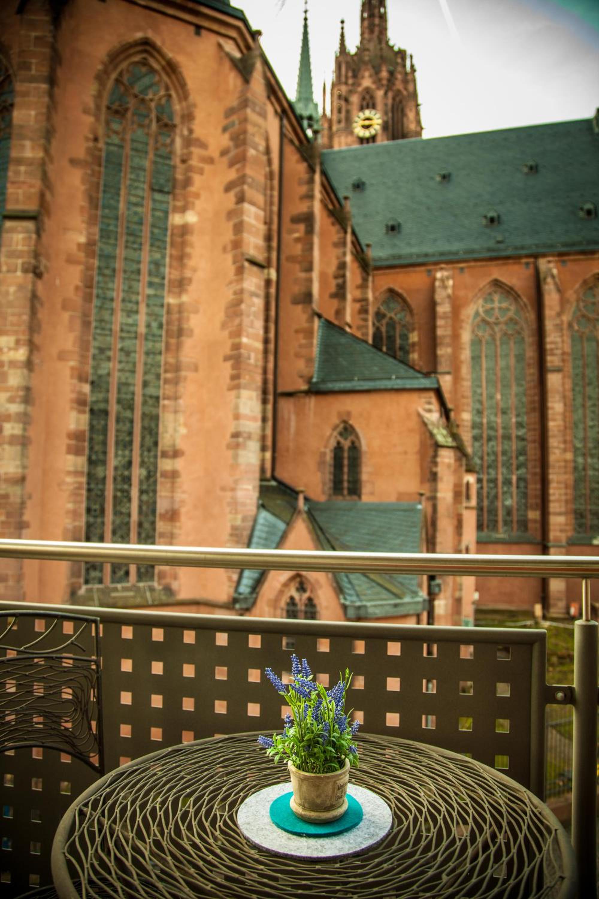 Фото Paulaner am Dom