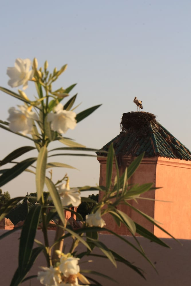 Фото 82502744235