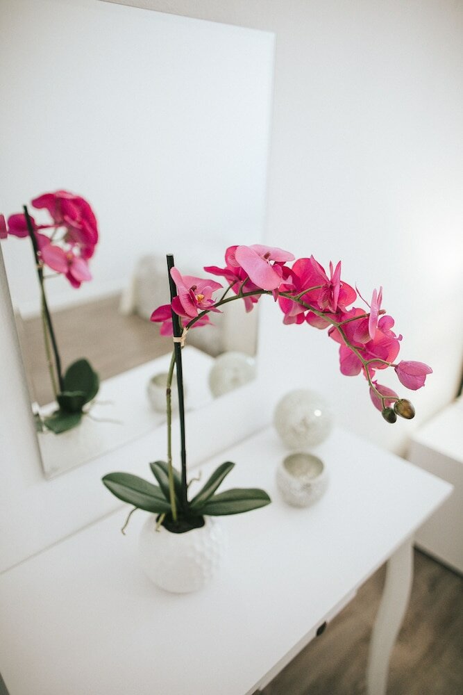 Фото Hostel Globo