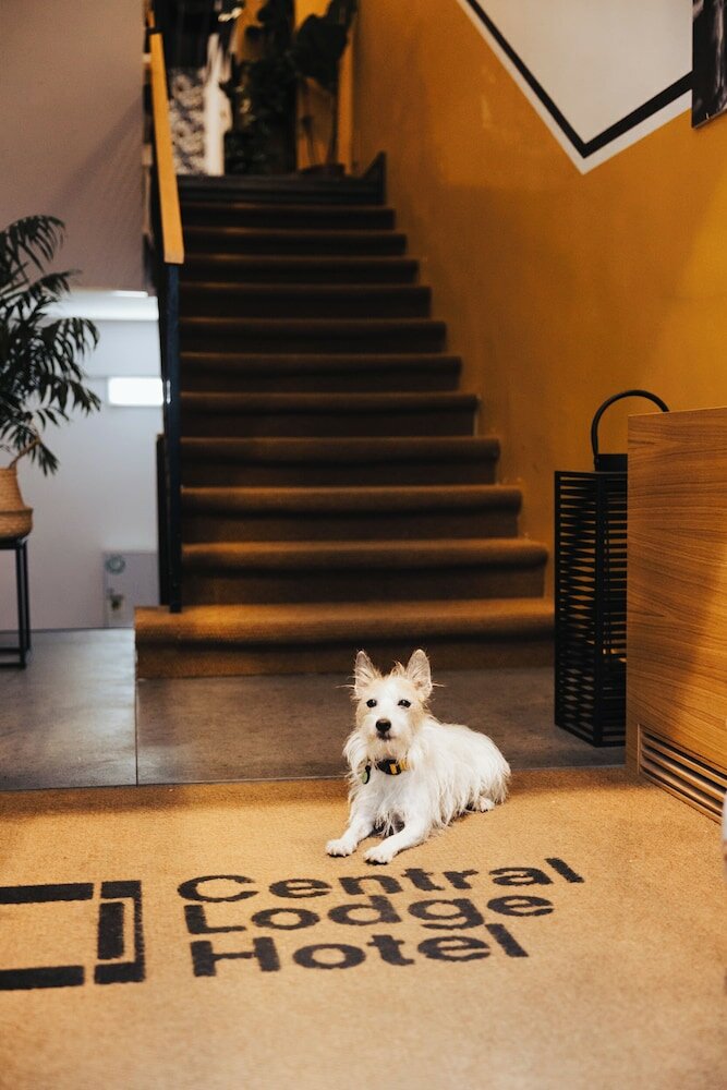 Фото Hotel Central Lodge