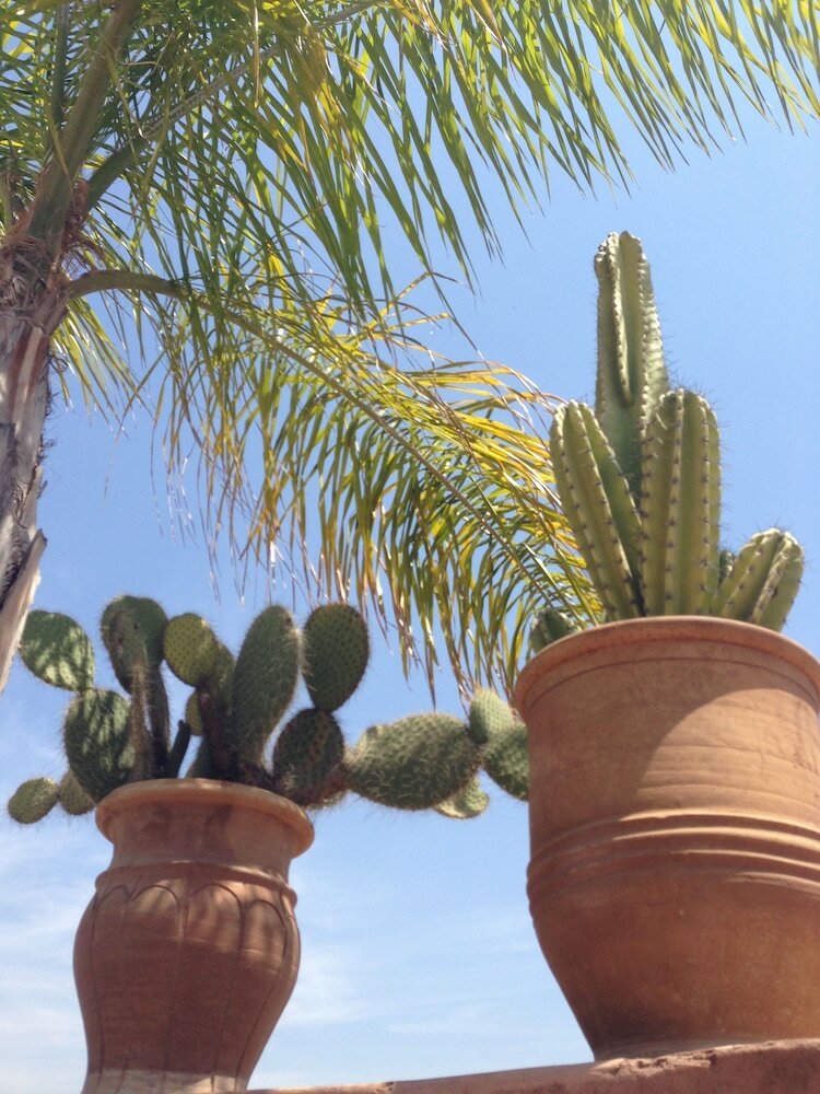 Фото Riad Mehdia