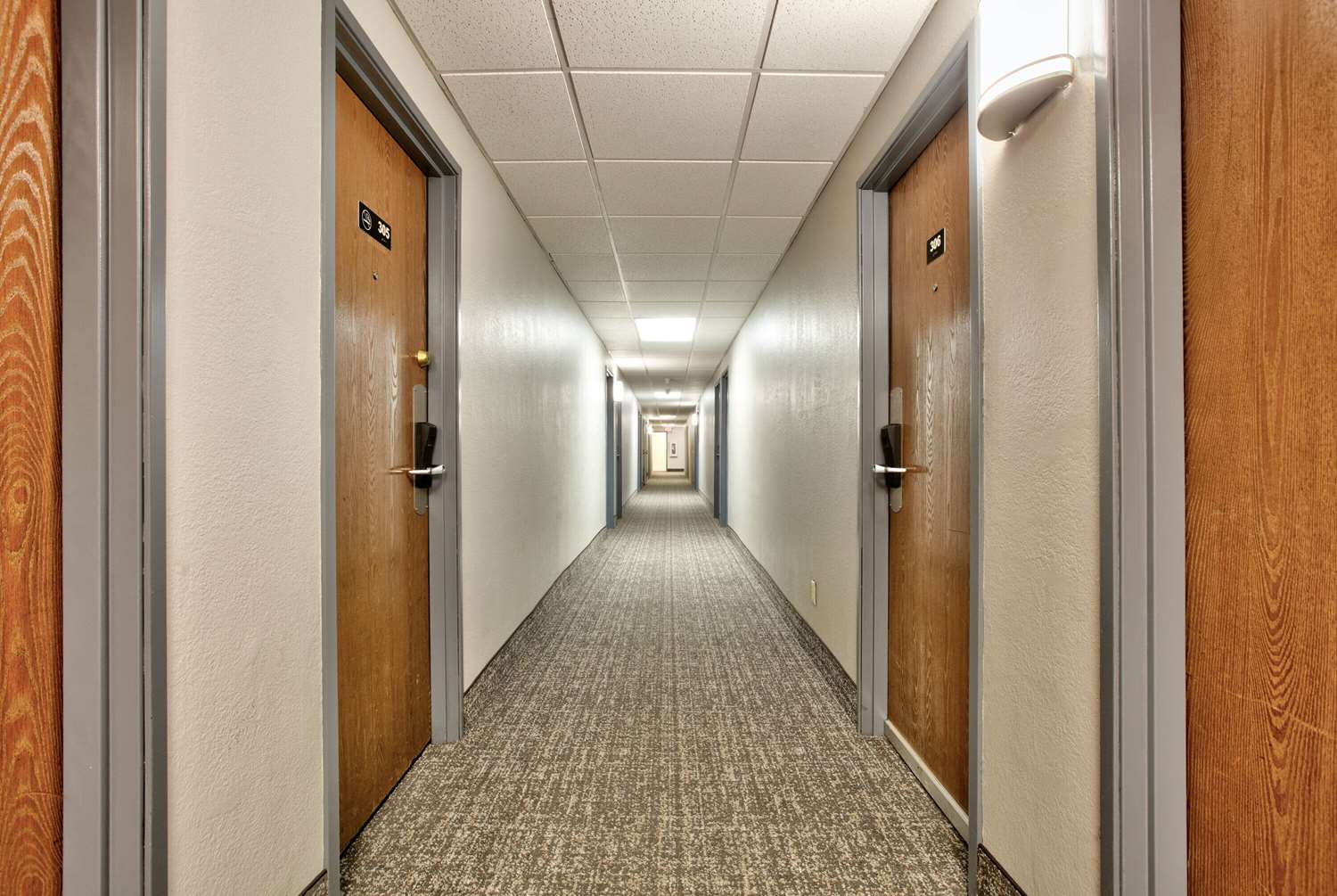 Фото Super 8 by Wyndham Amarillo