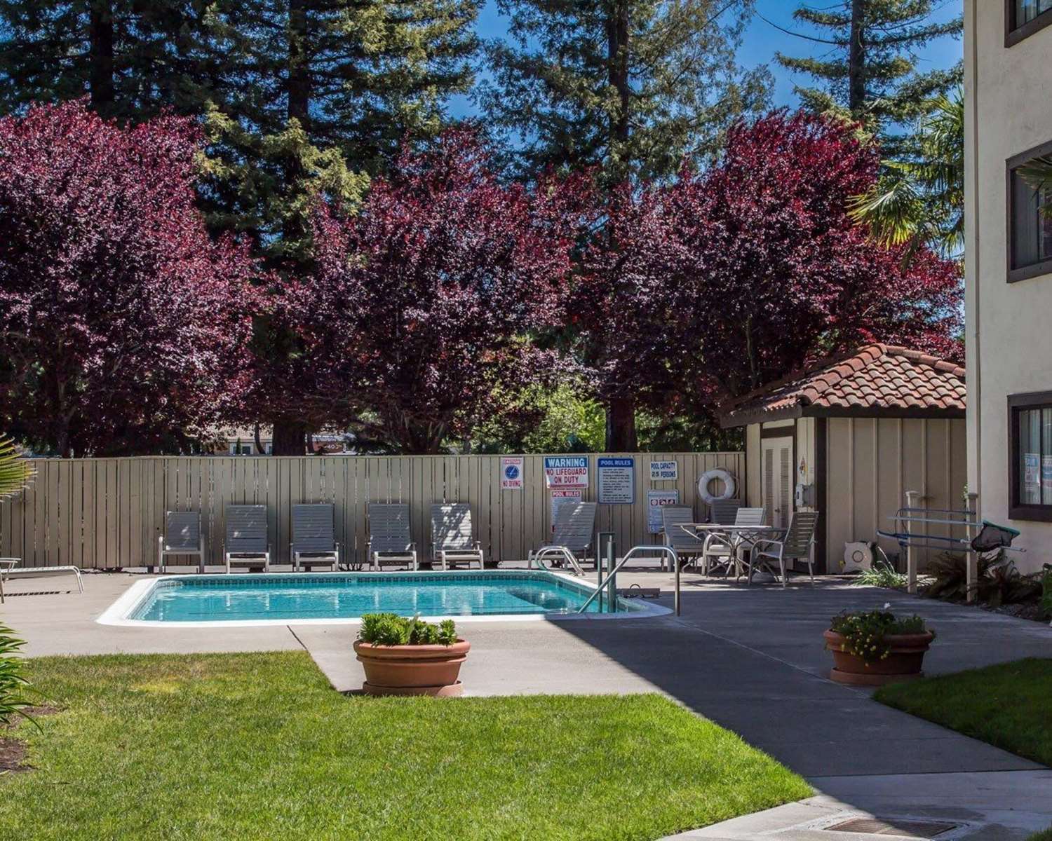 Фото Holiday Inn Express Santa Rosa North, an Ihg Hotel