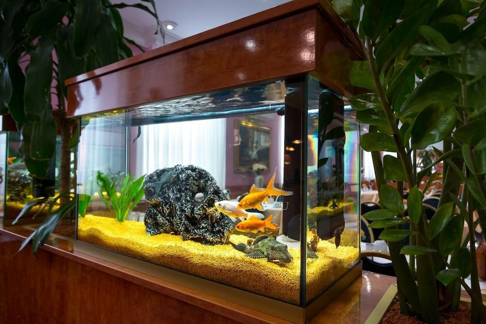 Фото Hotel Atlanta