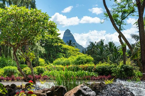 Гостиница Hilton Mauritius Resort & SPA в Флик-ан-Флаке