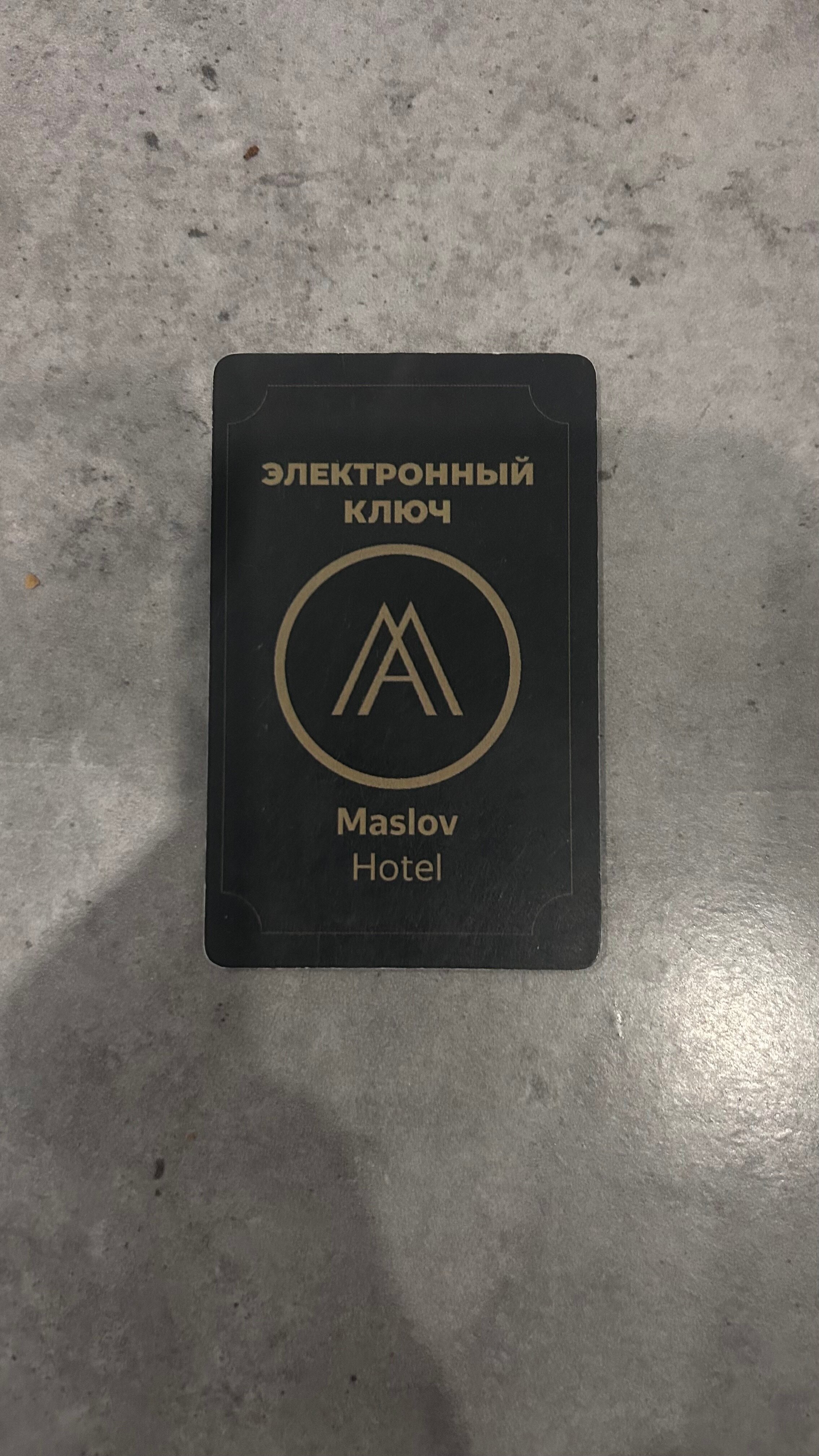 Фото Maslov Hotel