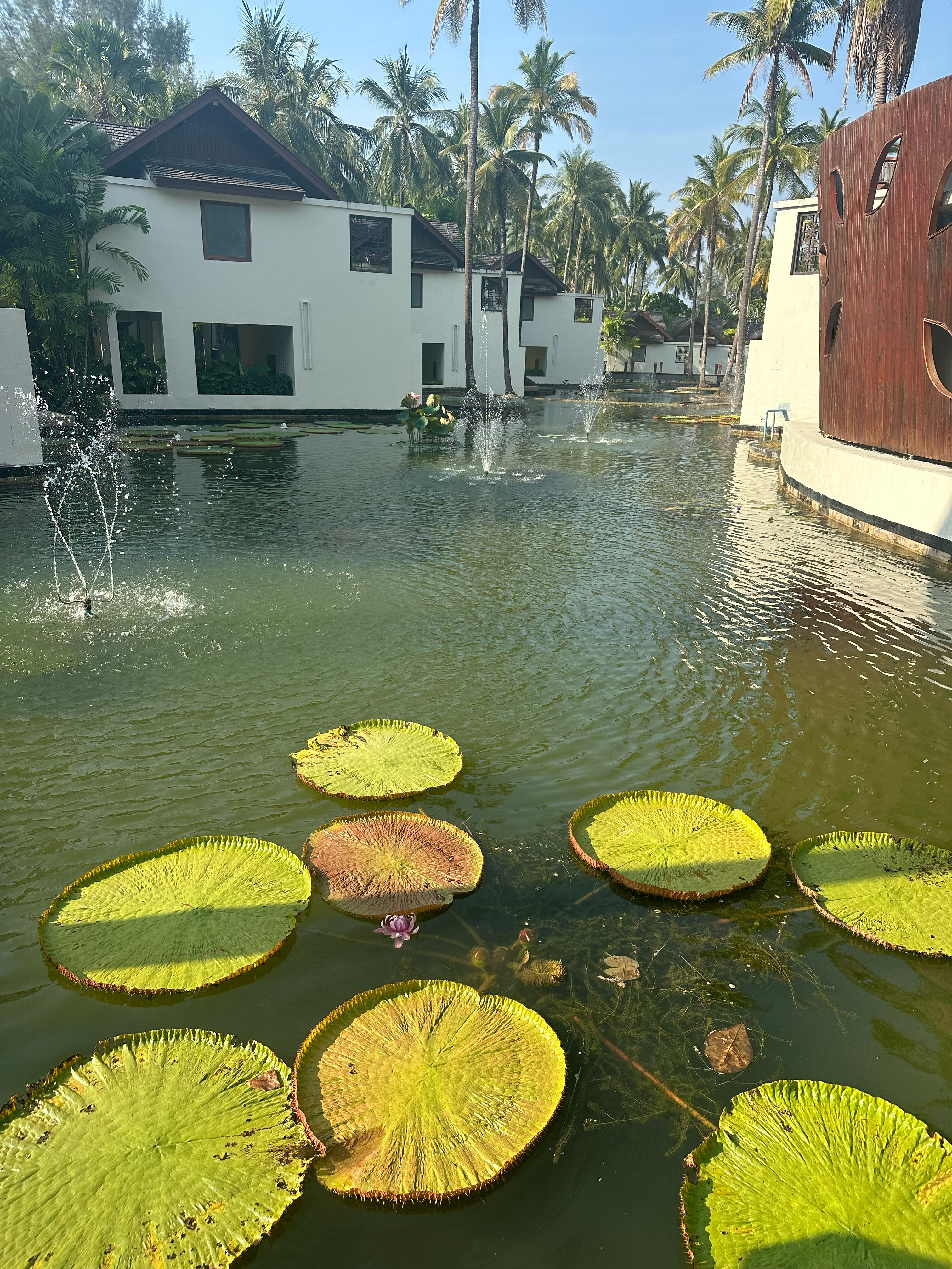 Фото Graceland Khaolak Beach Resort