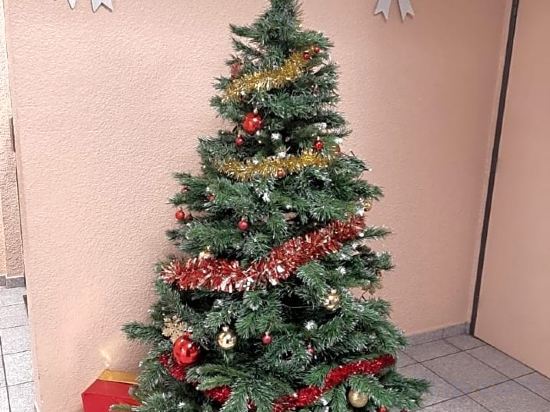 Фото Hotel Primo