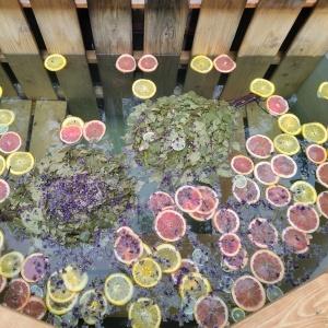 Фото Террасы Глэмп-Отель