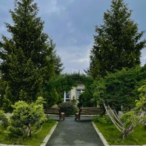 Фото Провинция